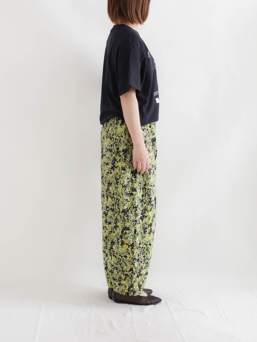 HARVESTY,ハーべスティ,サーカスパンツ